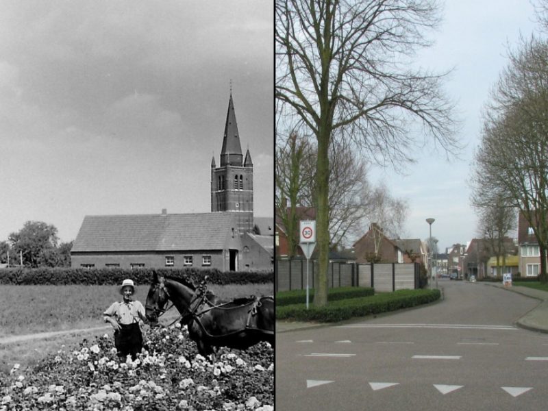 houtmolen